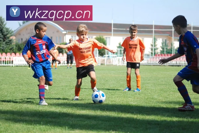 开云棋牌APP 封面图